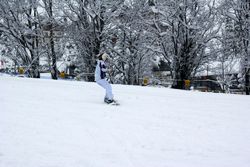 Alta Val Badia (146), Chiara R (43), Famiglia (61), Sci Alpino (290)